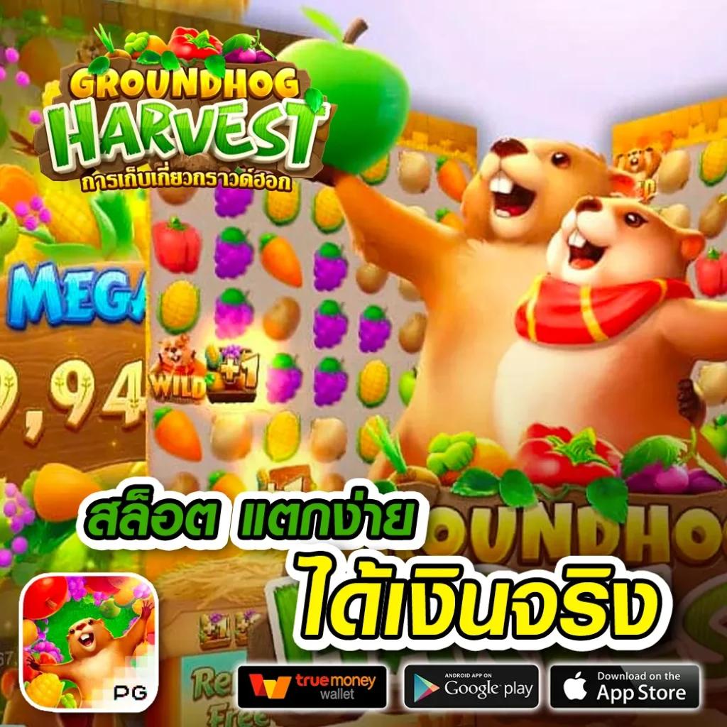 som777 คาสิโนชั้นนำ สุดมันส์ เว็บตรง สมัครง่าย ปลอดภัย