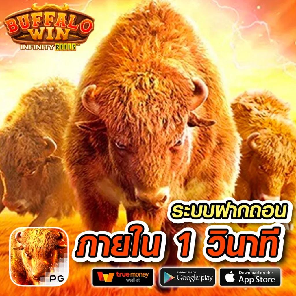 บ้านบอลวันนี้ เจ้าแห่งเดิมพันออนไลน์ อัปเดตสดใหม่ทุกวัน